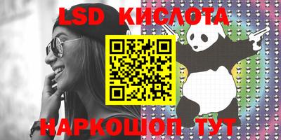 прущие грибы Канаш