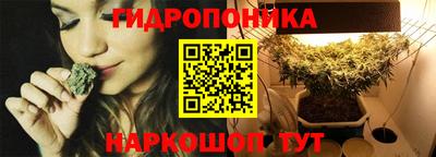 прущие грибы Канаш