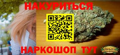 прущие грибы Канаш