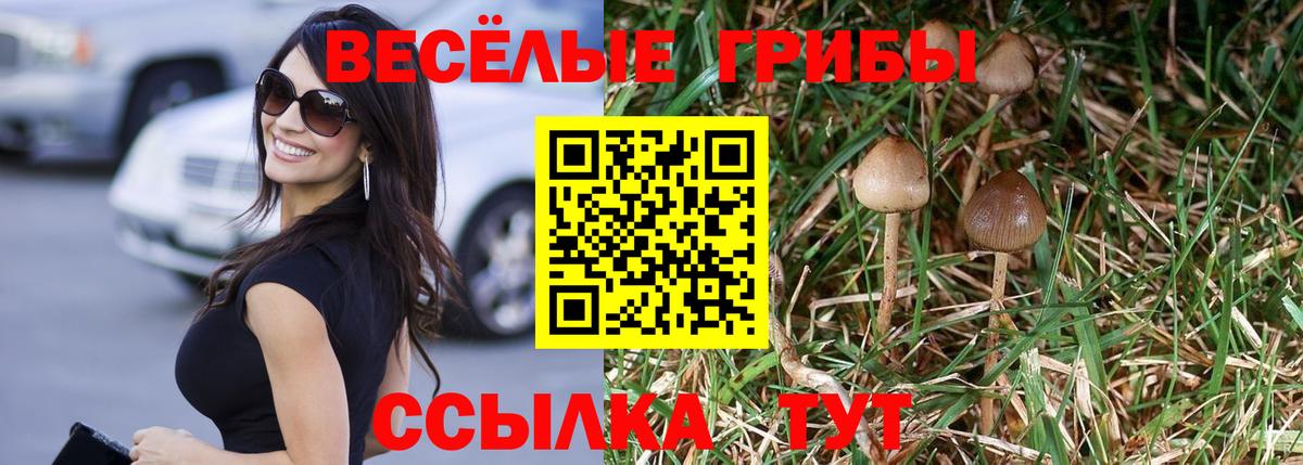 Галлюциногенные грибы MAGIC MUSHROOMS  Вход с VPN  Калуга  Псилоцибиновые грибы ЛСД 
